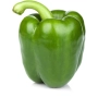 FRESH - Grüner Pfeffer (Stück)