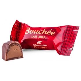 Côte d'or Milk bite 25g
