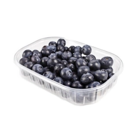 FRESH - Blueberry Tray 250g
