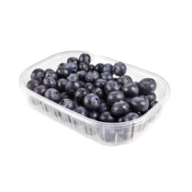 FRESH - Myrtille Barquette 250g