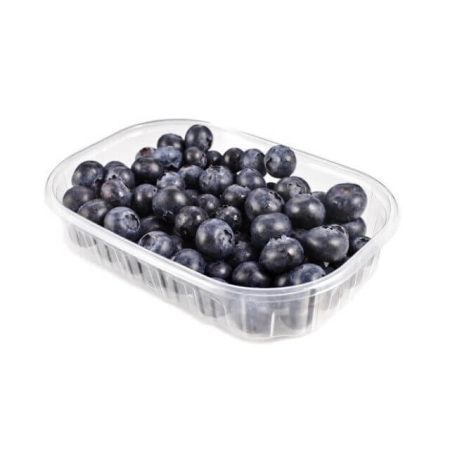 FRESH - Myrtille Barquette 250g