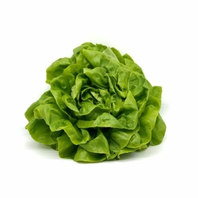 FRESH - Salade laitue (pièce)