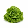 FRESH - Salade laitue (pièce)