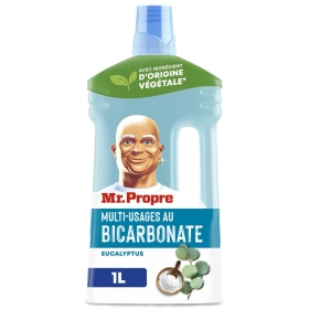 Mr. Propre Multi-usages au Bicarbonate 1L