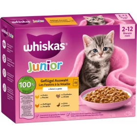WHISKAS Junior sachets de Nourriture Humide, sélection de volailles en gelée 12x85g
