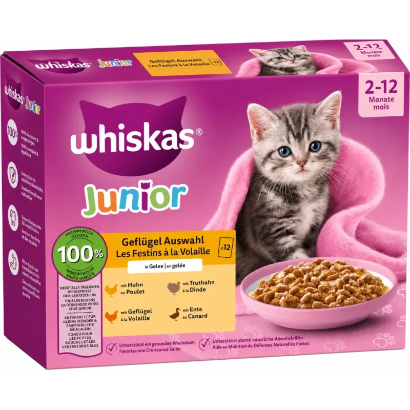WHISKAS Junior sachets de Nourriture Humide, sélection de volailles en gelée 12x85g