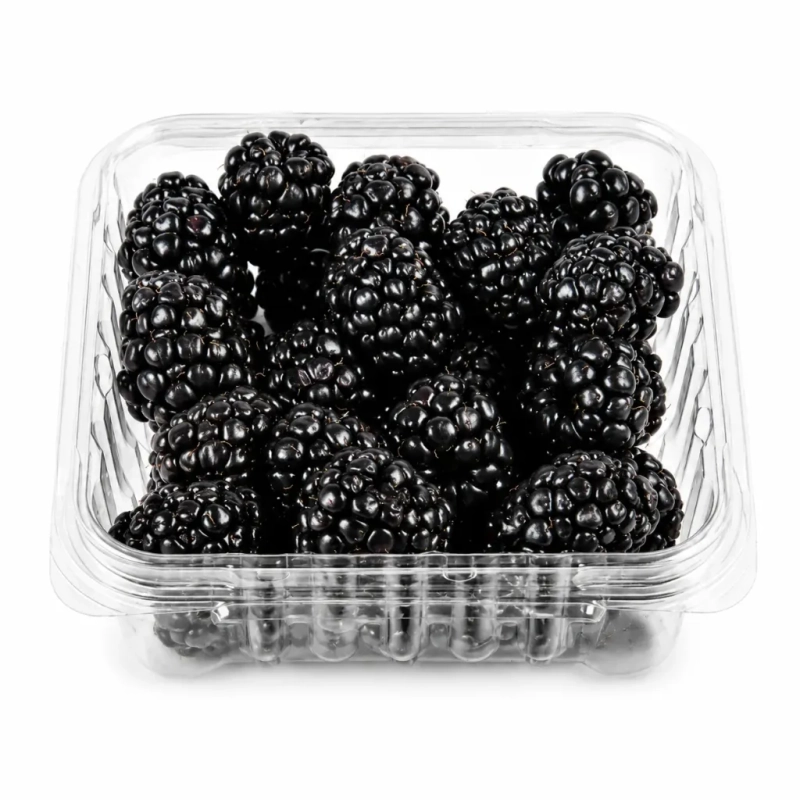FRESH - Mûres 125g