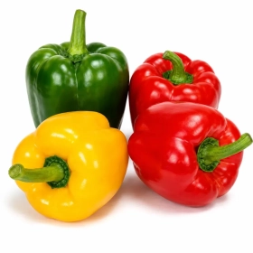 FRESH - Mélange de poivrons 500g