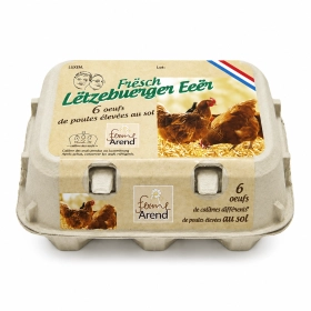 Free-range eggs L 6 pieces - Arend