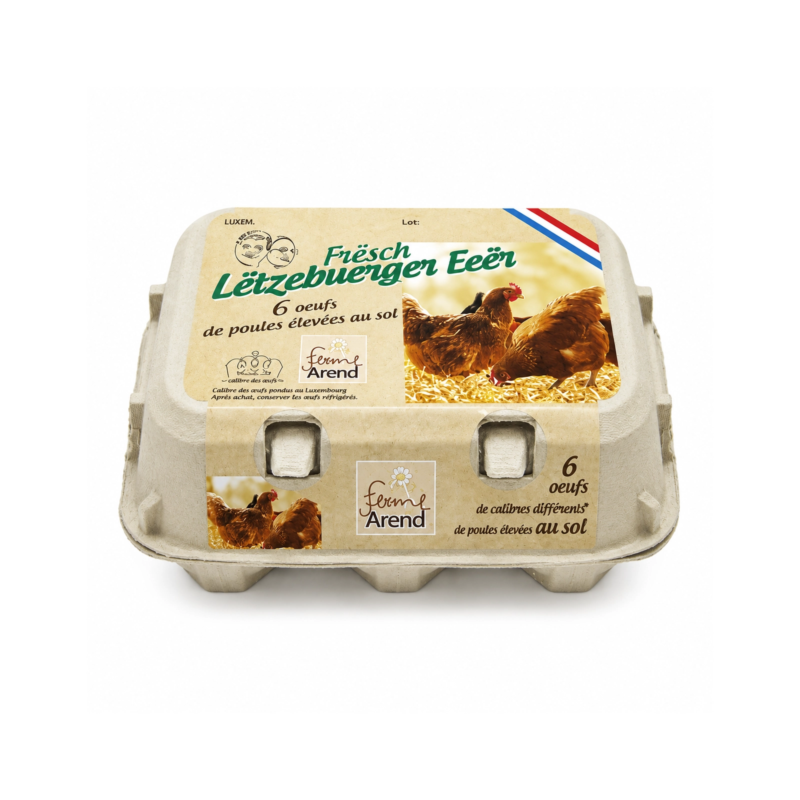 Oeufs de poules élevées au sol L 6 pièces - Arend