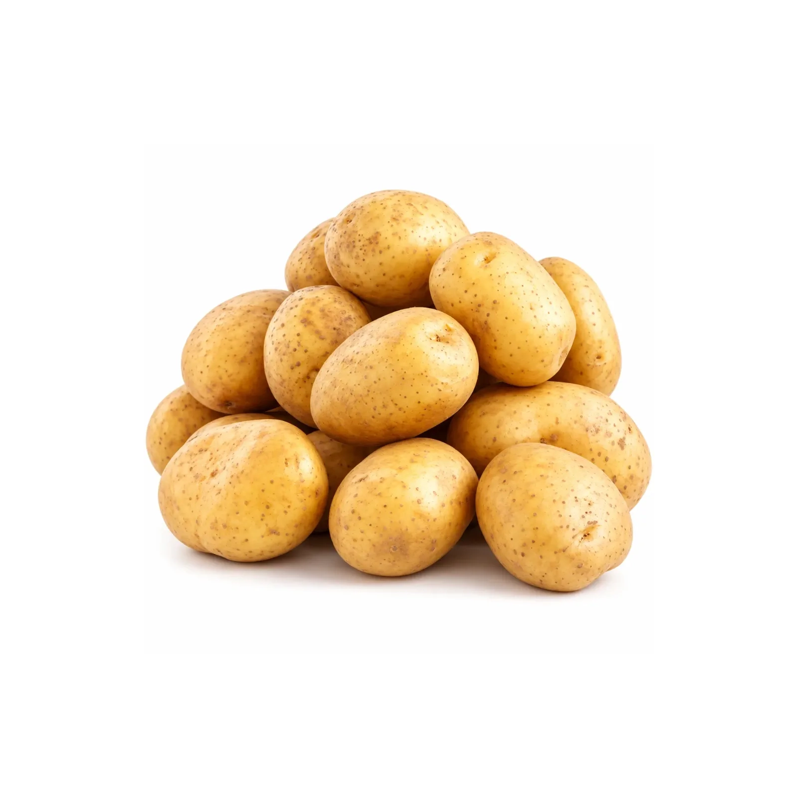FRESH - Pommes de terre blanches (au poids)