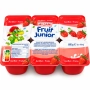 Milsani - Yaourt frais Fruit Junior 6x100g