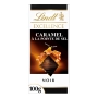 LINDT EXCELLENCE caramel with a hint of salt 100g