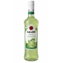 BACARDÍ Mojito 12,5% vol 50cl