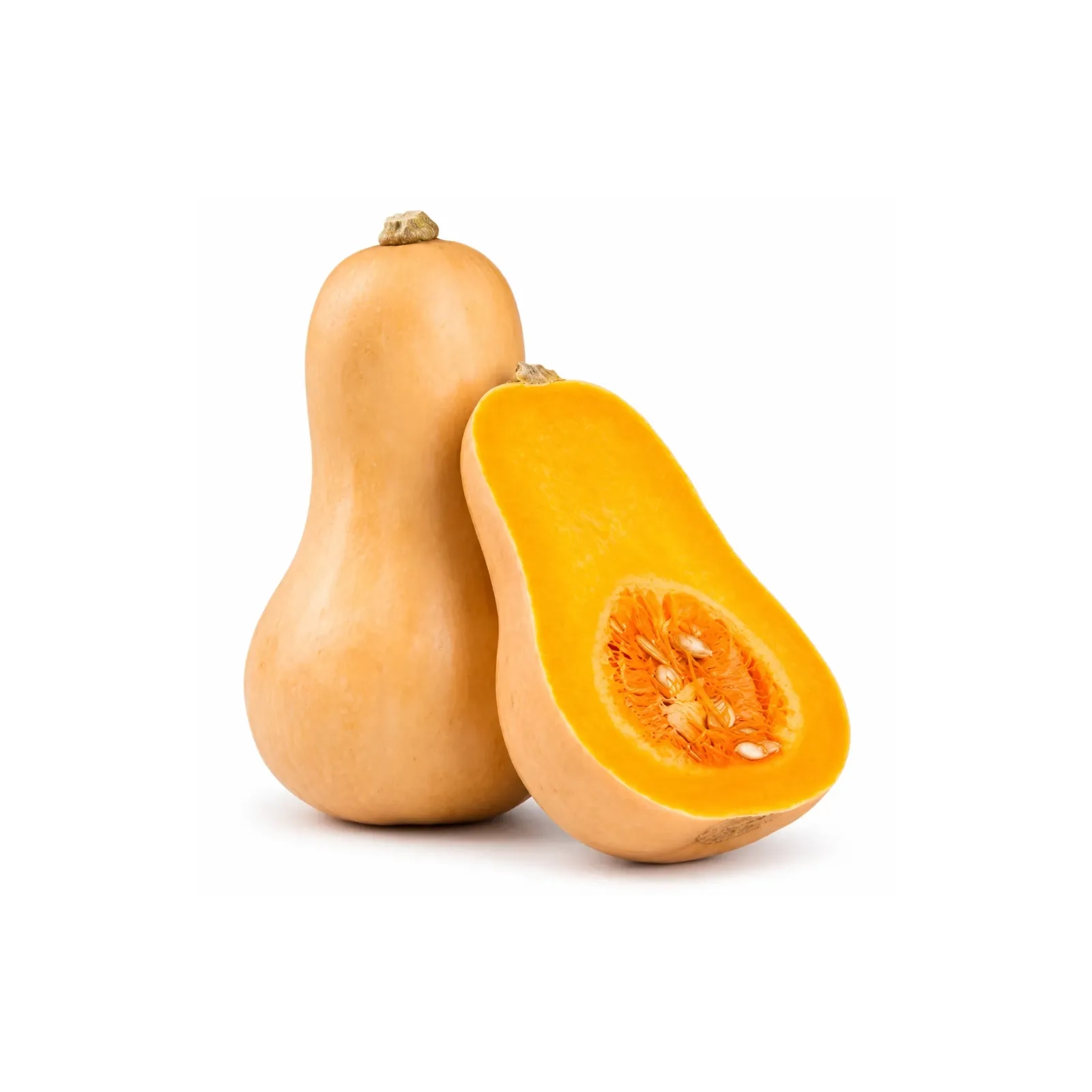 FRESH – O.S.A Butternusskürbis (nach Gewicht)